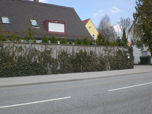 Spektrum L&auml;rmschutz &ndash; Verkehrsl&auml;rm